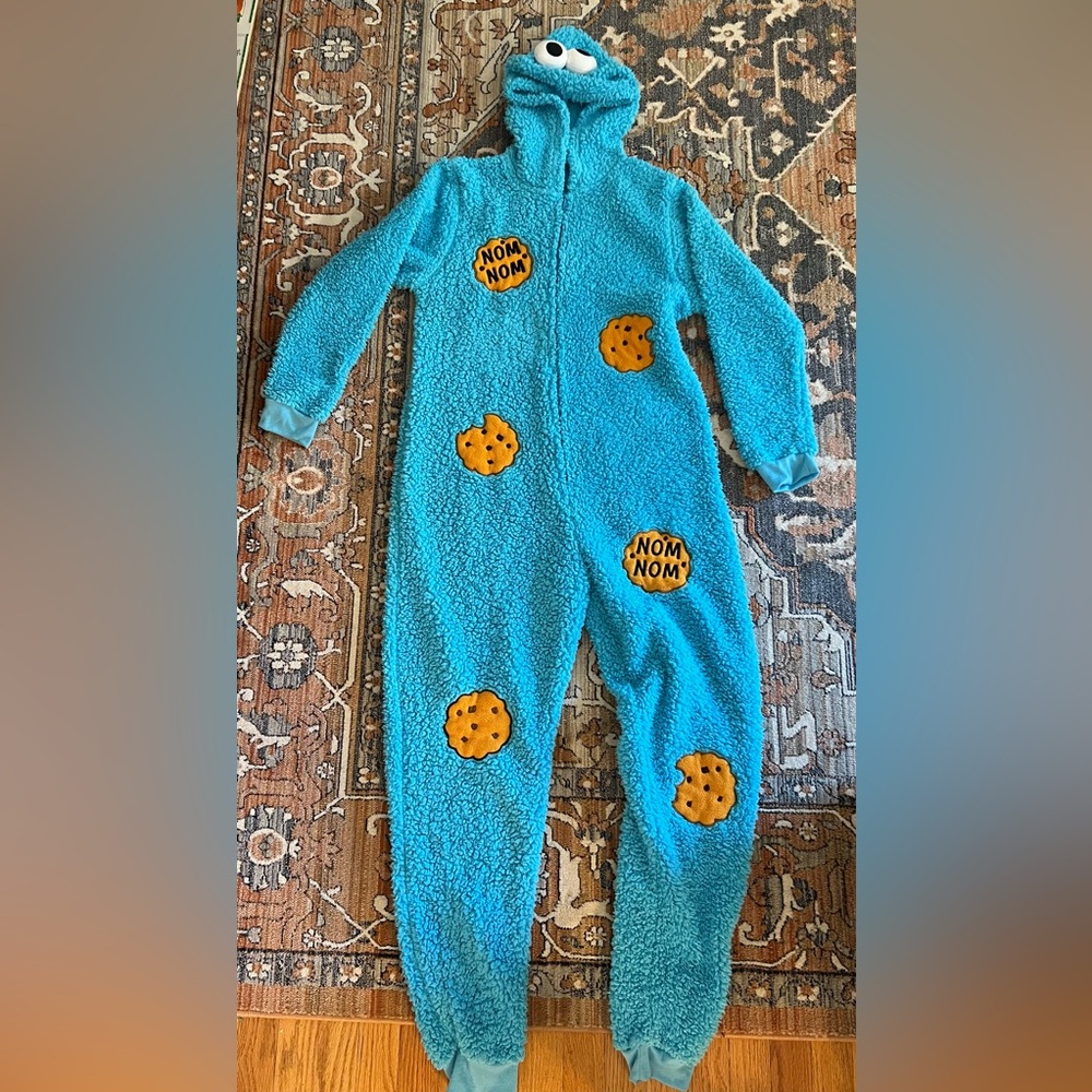 Adult Cookie Monster Costume (Large)